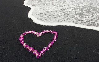 Valentines_Day 129.jpg